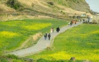 Người Việt đi Hàn Quốc sắp thuận lợi hơn: Nhiều nhóm được cấp visa tới 10 năm