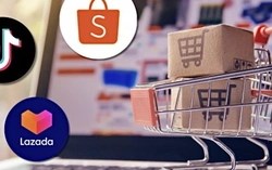 Phía sau cuộc đua doanh thu tỷ USD, hàng loạt shop online rơi cảnh “càng bán càng khó sống”