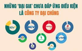 Nhiều doanh nghiệp tỷ đô lớn nhất thị trường đứng trước nguy cơ hủy niêm yết: Chờ 'kim bài' miễn trừ hay lập tức hành động?