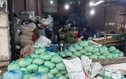 Triệt phá đường dây sản xuất giá đỗ ngâm hóa chất cấm tại TPHCM, hơn 1.000 tấn đã bán ra thị trường