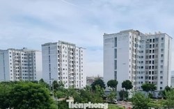 Đà Nẵng công bố khung giá thuê nhà ở xã hội mới, thấp nhất từ 54.000 đồng/m²/tháng