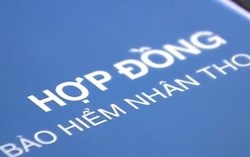 Thị trường bảo hiểm nhân thọ Việt Nam đón thêm tân binh, nâng số doanh nghiệp lên 21