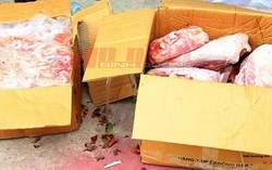 Phát hiện rùng mình trong kho lạnh dán chữ “hàng phế phẩm”: Hơn 11 tấn thịt thối chuẩn bị tuồn vào nhà hàng, quán ăn