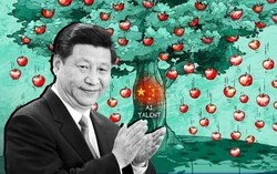 Âm thầm chuẩn bị từ ngày đầu thương chiến, Trung Quốc nay sở hữu lực lượng AI gấp 5 lần Mỹ, sẵn sàng bứt phá trận địa công nghệ