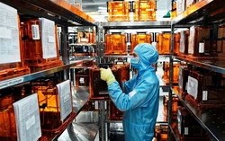 Nga đầu tư mạnh vào “công nghệ siêu sạch” để tự chủ sản xuất chip, chấp nhận bài toán tốn kém bậc nhất thế giới