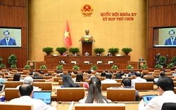 Quốc hội chính thức trao quyền thu giữ tài sản bảo đảm cho ngân hàng, xử lý nợ xấu có bước ngoặt lớn