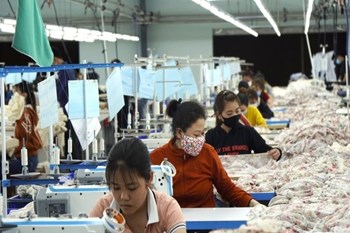 174.000 doanh nghiệp gia nhập thị trường, tín hiệu hồi phục kinh tế ngày càng rõ