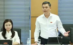 Đại biểu lo quy định tỷ lệ an toàn ngân hàng