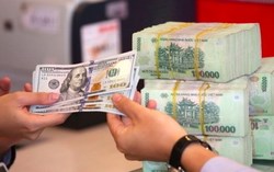 VND tiếp tục chịu áp lực trong tháng 8, lo ngại tình trạng găm giữ USD