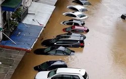 Đấu giá lô 7 ô tô từng bị ngập nước, giá khởi điểm hơn 2 tỷ đồng