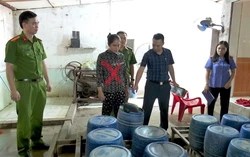 Công an phát hiện 1,4 tấn giá đỗ tại Ninh Bình bị ngâm hóa chất “nước kẹo”