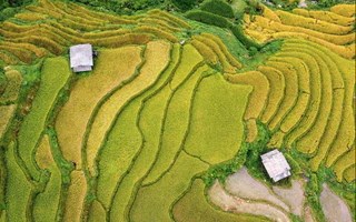 “Tòa tháp xanh” 121 tầng giữa núi Sa Pa: Công trình đặc biệt do con người tạo nên