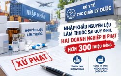 Hai doanh nghiệp dược bị phạt hơn 300 triệu đồng vì nhập nguyên liệu sai quy định