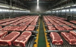 Thịt lợn nhập khẩu tăng mạnh, giá bình quân chỉ hơn 45.000 đồng/kg
