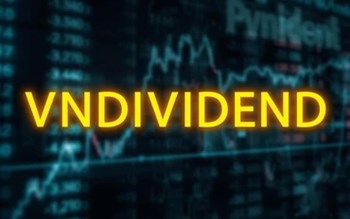 Lần đầu Việt Nam ra mắt chỉ số cổ phiếu tăng trưởng chi trả cổ tức – VNDIVIDEND