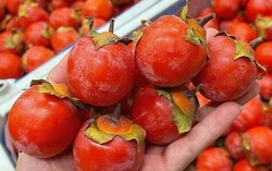 Trời hanh khô nên ăn gì? 3 loại quả quen thuộc giúp bổ sung nước và dưỡng chất