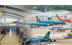 Thị trường vé máy bay Tết 2026: Giá cao, lựa chọn khó và áp lực cung – cầu