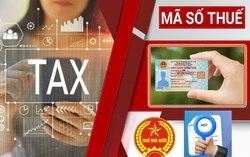 Thuế Hà Nội công bố 3 kênh hỗ trợ doanh nghiệp giải thể, đóng mã số thuế
