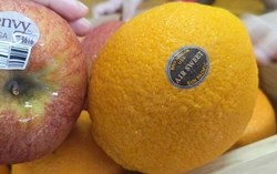 Hàng Mỹ tràn vào Việt Nam: Trái cây và nhiều mặt hàng nhập khẩu tăng mạnh trong 9 tháng đầu năm 2025