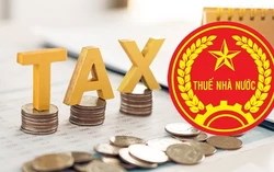 Hơn 31.000 doanh nghiệp TPHCM nợ thuế hơn 25.000 tỷ đồng, nhiều “ông lớn” bất động sản và xăng dầu bị điểm tên