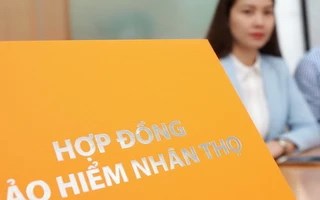 Rót 100 triệu vào bảo hiểm nhân thọ, 4 năm sau chỉ nhận lại hơn 24 triệu: Bài học tỉnh ngộ về “tích sản thông minh”