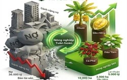 Bầu Đức khép lại một thập kỷ xoay trục, HAGL đặt cược vào mũi nhọn nông nghiệp mới?