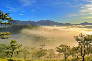 Vì sao Đà Lạt dẫn đầu tìm kiếm Google 2025: Thành phố quen mà vẫn “hot” suốt năm?