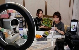 Bán hàng qua Shopee, TikTok đã được khấu trừ thuế, hộ kinh doanh còn phải lập hóa đơn không?