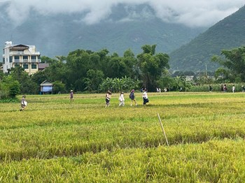 Phú Thọ: Chú trọng phát triển du lịch cộng đồng, phát huy bản sắc văn hóa dân tộc Mường