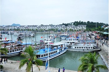 Quảng Ninh tạm ngừng cấp phép các hoạt động tham quan, lưu trú trên vịnh Hạ Long