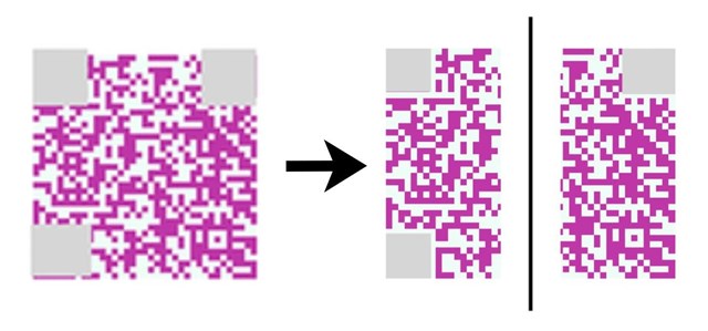 M&atilde; QR t&aacute;ch đ&ocirc;i. Ảnh: Barracuda