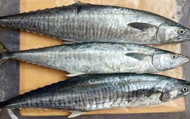 12 loại cá giàu dinh dưỡng, thịt ngọt dễ ăn, ít xương dăm, giá từ 40.000 đồng/kg tại chợ Việt - Ảnh 1