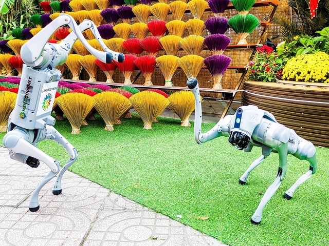 Trải nghiệm mua sắm cùng robot chó AI: Bước đi mới của Menas Group tại Việt Nam - Ảnh 4