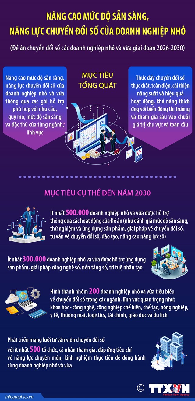 Nâng cao mức độ sẵn sàng, năng lực chuyển đổi số của doanh nghiệp nhỏ - Ảnh 1