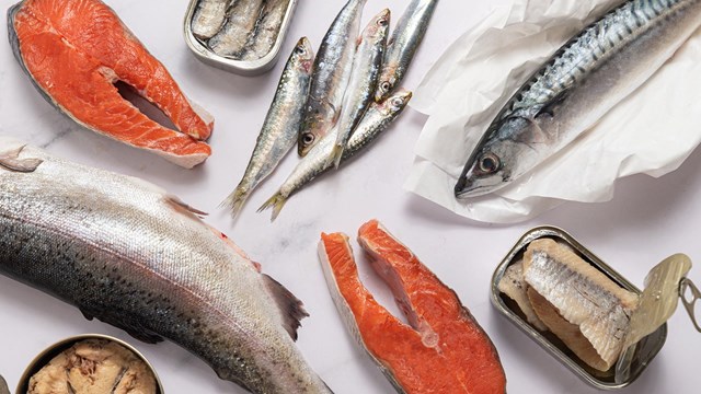 không phải cứ nhiều chất béo là xấu: Loại cá này lại giúp giảm mỡ máu, tốt cho tim mạch - Ảnh 1