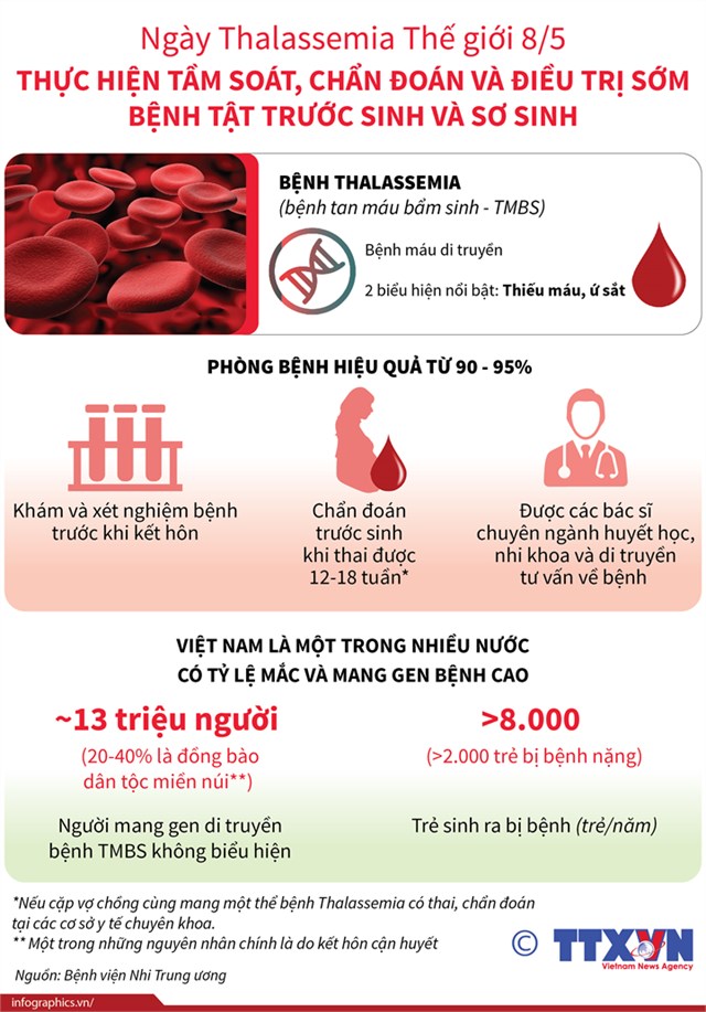 Ng&#224;y Thalassemia Thế giới 8/5: Thực hiện tầm so&#225;t, chẩn đo&#225;n v&#224; điều trị sớm bệnh tật trước sinh v&#224; sơ sinh - Ảnh 1