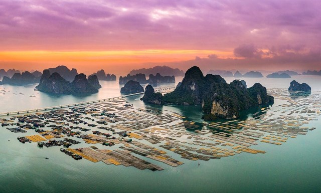 B&ecirc;n cạnh những đảo đ&aacute; v&ocirc;i v&agrave; v&ugrave;ng nước xanh, B&aacute;i Tử Long c&ograve;n gắn với Vườn quốc gia B&aacute;i Tử Long, nơi từng được c&ocirc;ng nhận l&agrave; C&ocirc;ng vi&ecirc;n Di sản ASEAN. (Ảnh: Elite Tour)