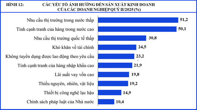 C&aacute;c yếu tố ảnh hưởng đến sản xuất kinh doanh của doanh nghiệp (Nguồn: Cục Thống k&ecirc;)