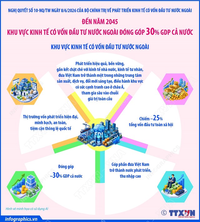 Đến năm 2045: Khu vực kinh tế có vốn đầu tư nước ngoài đóng góp 30%GDP cả nước - Ảnh 1