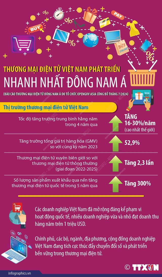 Việt Nam được đ&#225;nh gi&#225; ph&#225;t triển thương mại điện tử nhanh nhất Đ&#244;ng Nam &#193; - Ảnh 1