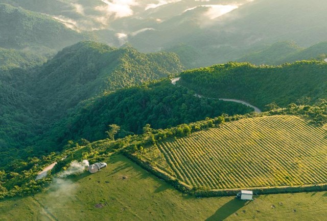 Thảo nguy&#234;n B&#249;i Hui - Vương quốc thơ mộng đang chờ được kh&#225;m ph&#225; - Ảnh 4