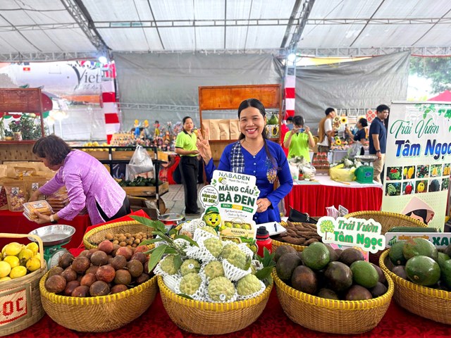KHAI MẠC LỄ HỘI HƯƠNG SẮC TRÁI CÂY 2026 VỚI QUY MÔ TẦM CỠ KHU VỰC PHÍA BẮC THÀNH PHỐ HỒ CHÍ MINH  - Ảnh 3