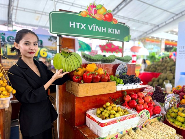 KHAI MẠC LỄ HỘI HƯƠNG SẮC TRÁI CÂY 2026 VỚI QUY MÔ TẦM CỠ KHU VỰC PHÍA BẮC THÀNH PHỐ HỒ CHÍ MINH  - Ảnh 6