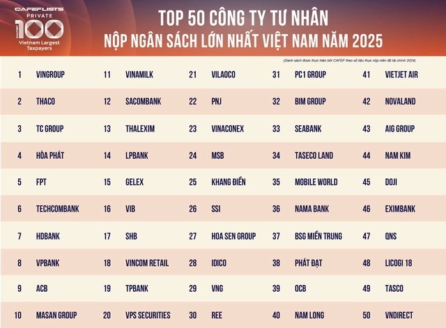 C&#244;ng bố 100 doanh nghiệp tư nh&#226;n nộp ng&#226;n s&#225;ch lớn nhất Việt Nam - Ảnh 4