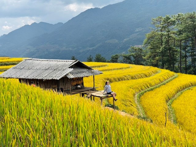 Đồi M&#243;ng Ngựa M&#249; Cang Chải – điểm ngắm m&#249;a l&#250;a ch&#237;n si&#234;u thực, thu h&#250;t đ&#244;ng đảo du kh&#225;ch v&#224; nhiếp ảnh gia - Ảnh 1