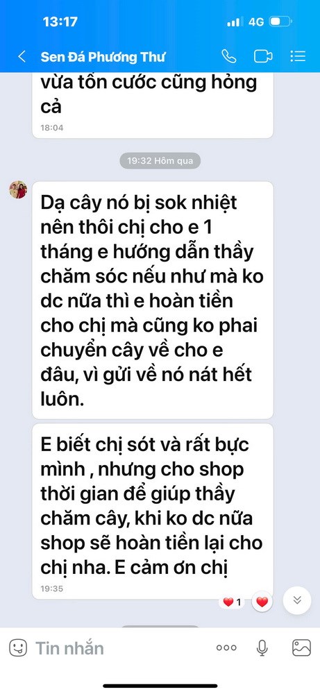 Ch&#249;a Thanh Lanh (Ph&#250; Thọ) mua c&#226;y sen đ&#225; trang tr&#237; Tết: Nh&#224; vườn Phương Thư giao h&#224;ng c&#226;y đ&#244;ng lạnh, chưa ho&#224;n tiền - Ảnh 6