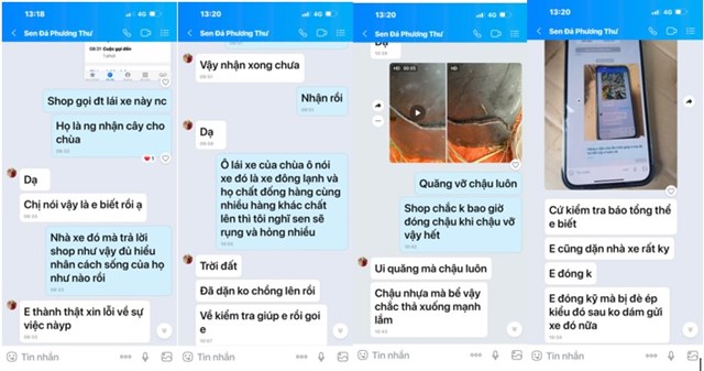 Ch&#249;a Thanh Lanh (Ph&#250; Thọ) mua c&#226;y sen đ&#225; trang tr&#237; Tết: Nh&#224; vườn Phương Thư giao h&#224;ng c&#226;y đ&#244;ng lạnh, chưa ho&#224;n tiền - Ảnh 5