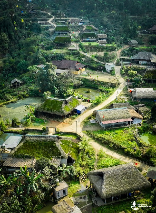 Nh&igrave;n từ tr&ecirc;n cao, những m&aacute;i r&ecirc;u nối tiếp nhau tạo cảm gi&aacute;c như những tấm thảm nhung xanh giữa n&uacute;i rừng. (Ảnh: Thong dong Tour)