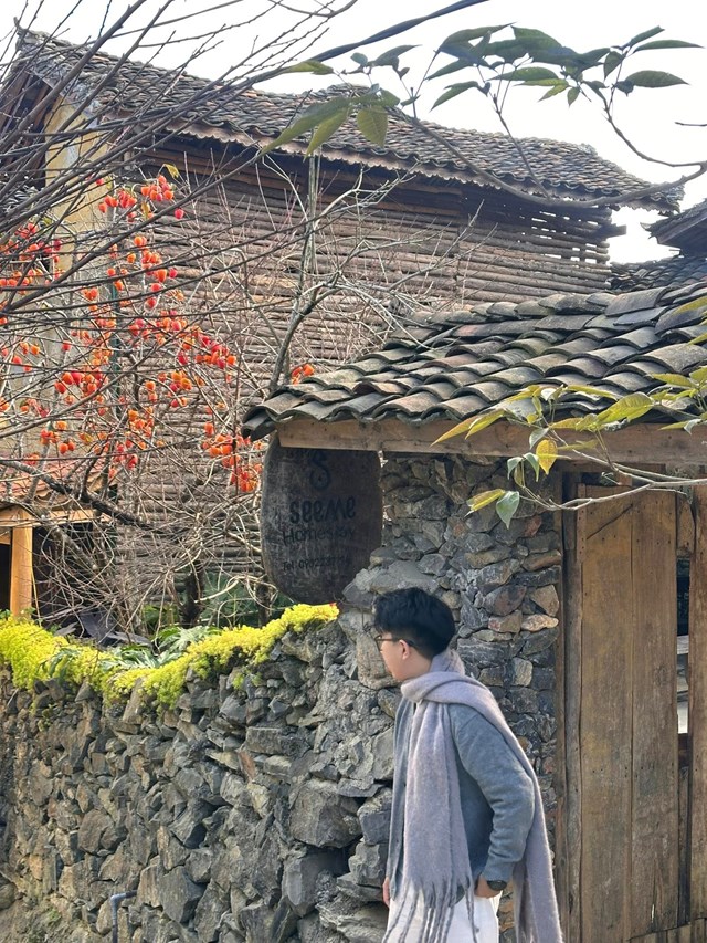 C&#226;y hồng “hot nhất” L&#244; L&#244; Chải: Một g&#243;c homestay th&#224;nh điểm check-in ngh&#236;n lượt mỗi ng&#224;y - Ảnh 1