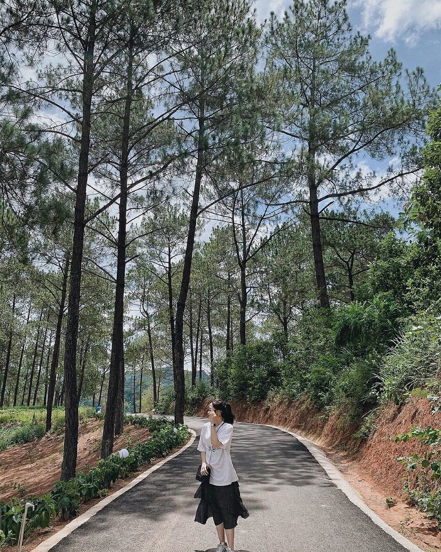 Một điểm đến Việt Nam được WTA vinh danh 3 lần: Mộc Châu vào mùa hoa mận trắng, “viên ngọc quý” giữa Tây Bắc - Ảnh 1